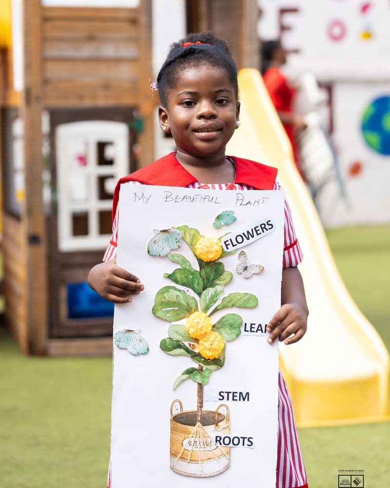 A pupil presenting a labelled diagram of a plant