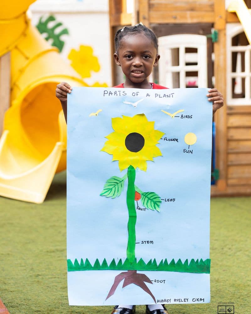 A pupil holding a painted parts-of-a-plant poster